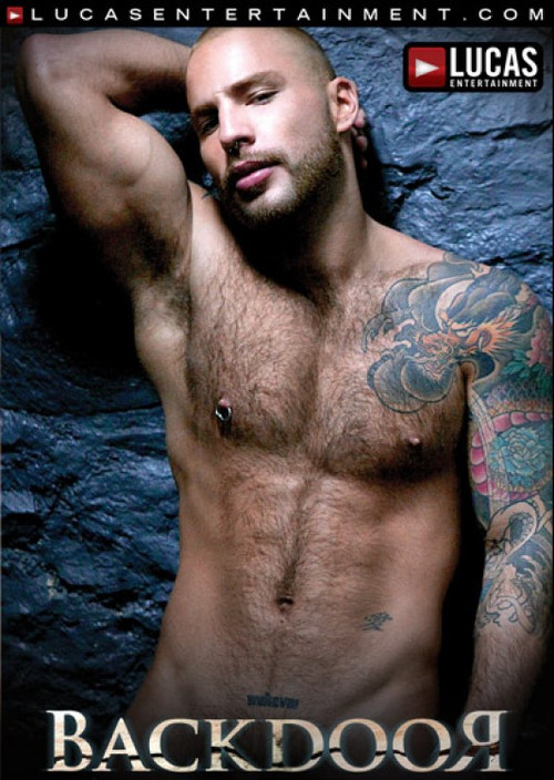 Backdoor (2011) poster