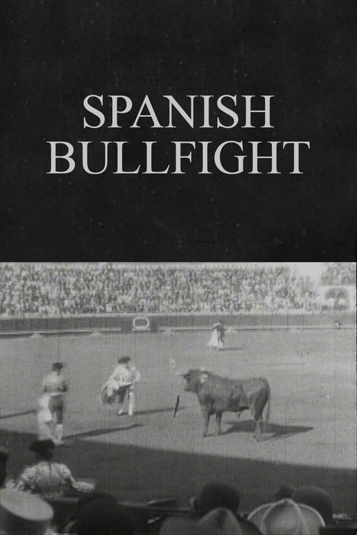 Spanish Bullfight (1900) poster