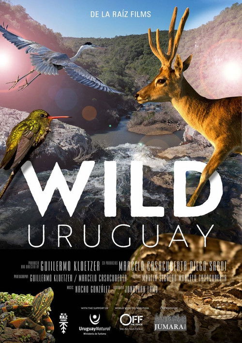 Wild Uruguay (2020) poster