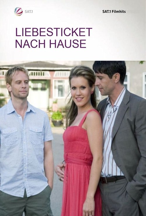 Liebesticket nach Hause (2008) poster