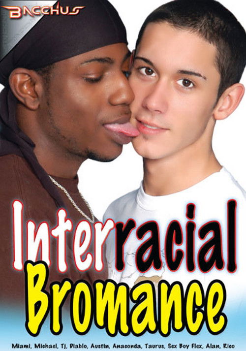 Interracial Bromance (2013) poster