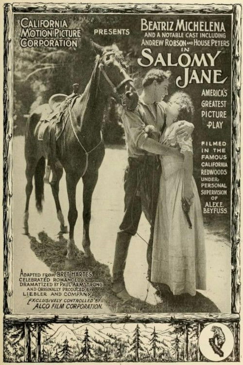 Salomy Jane (1914) poster