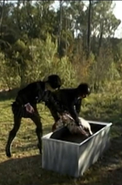 Body Double 16 (2003) poster