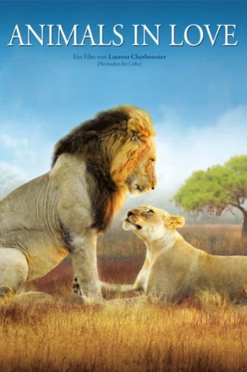 Les Animaux Amoureux (2007) poster
