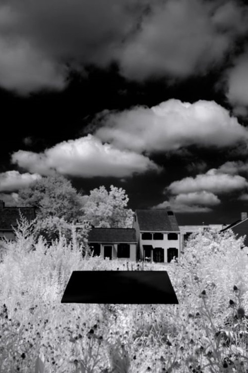 Letter to the Free (2016) poster