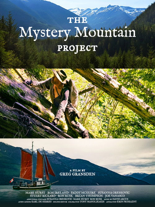 The Mystery Mountain Project (2021) poster