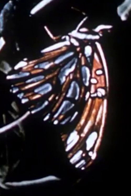 Farfallino (2020) poster