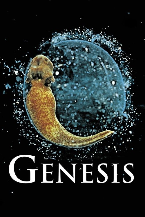 Genesis (2004) poster