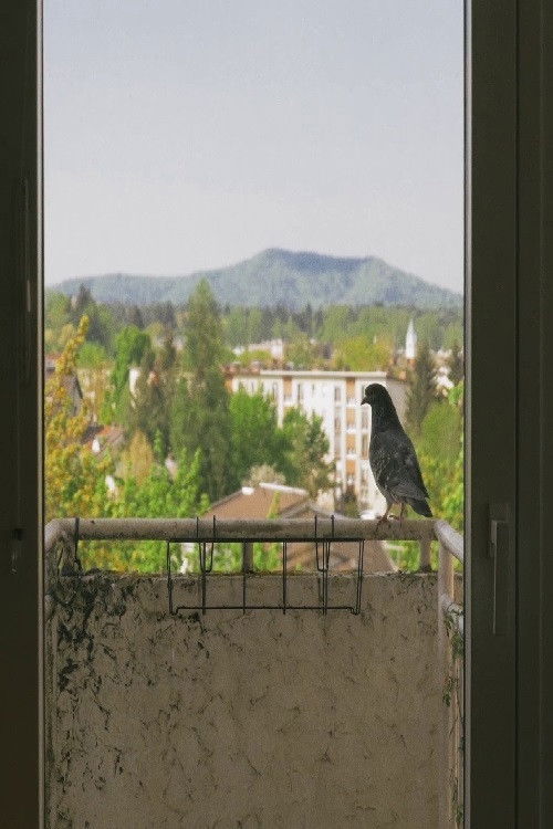 What Day Is It? (2020) poster