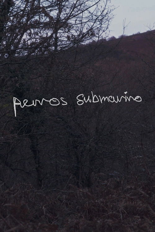 Perros submarino (2024) poster