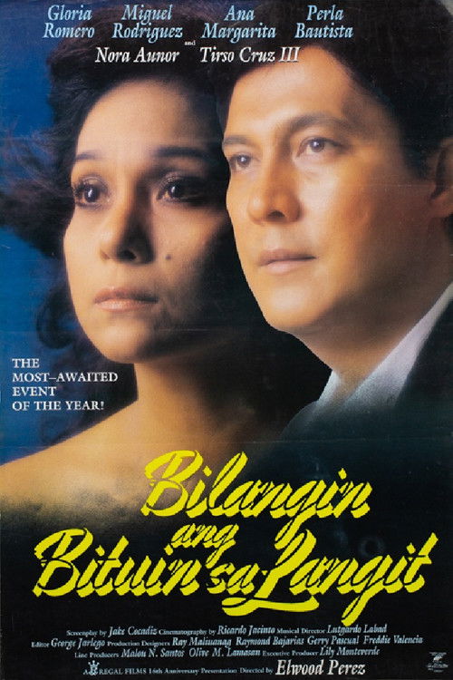 Bilangin ang Bituin sa Langit (1989) poster