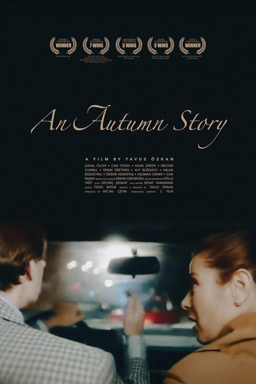Bir Sonbahar Hikayesi (1994) poster