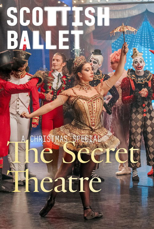 The Secret Theatre poster