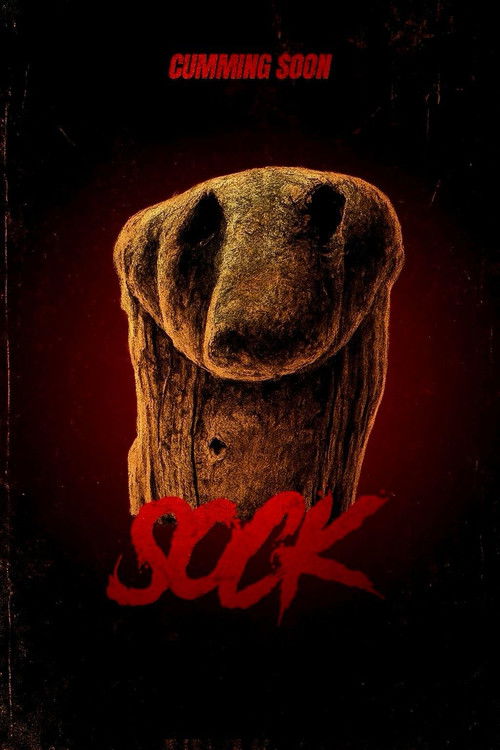 Sock (2025) poster