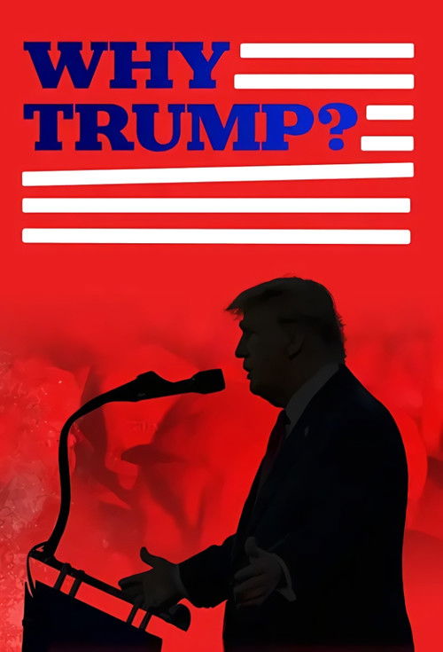 Why Trump? (2024) poster