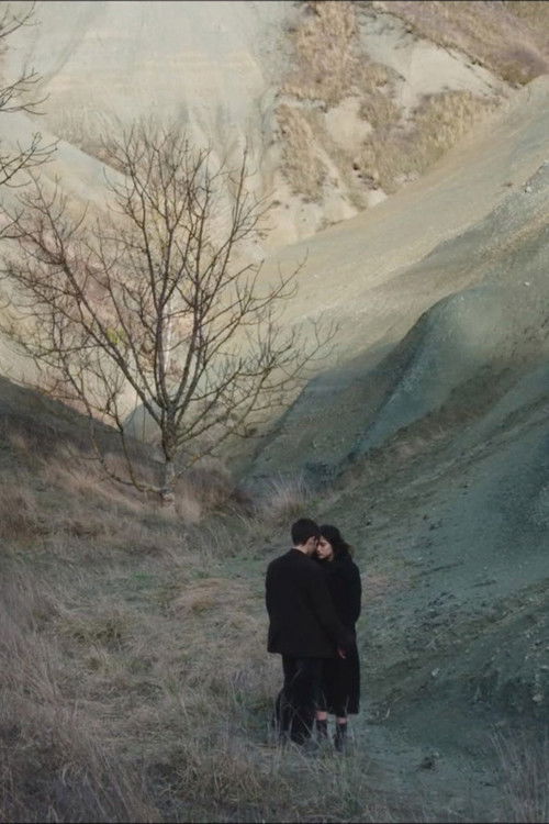 They Were to Cross the River (2021) poster