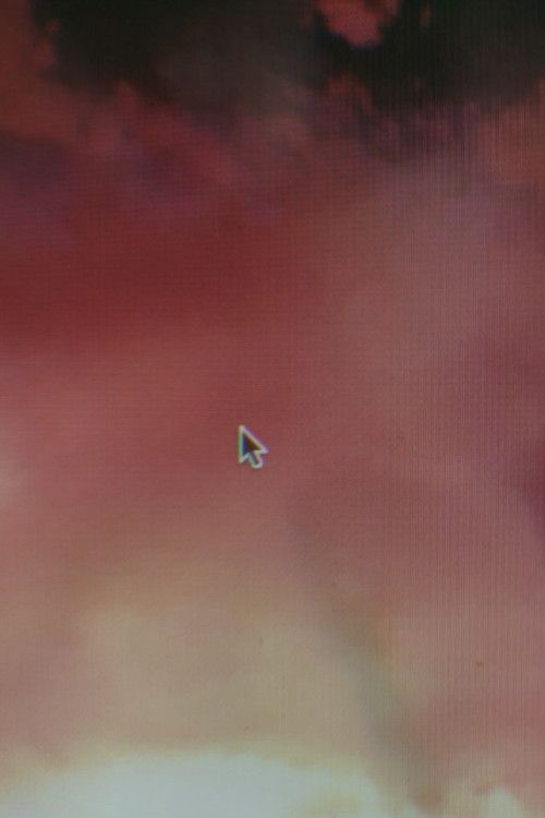 Late Embryo (2017) poster