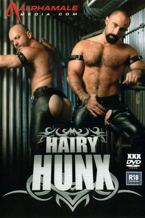 Hairy Hunx (2008) poster