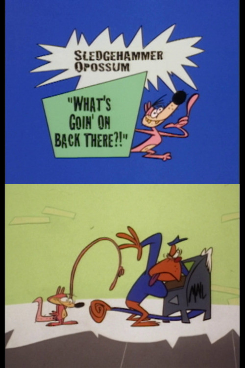 Sledgehammer O'Possum - What's Going on Back There? (1997) poster
