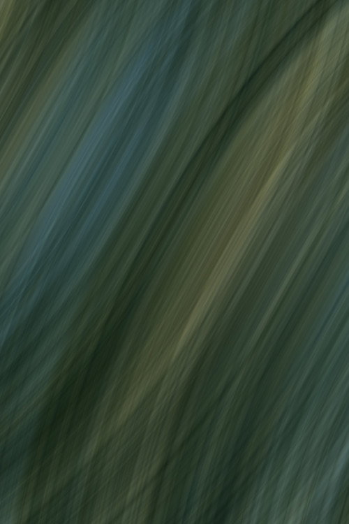 Fabric (2026) poster