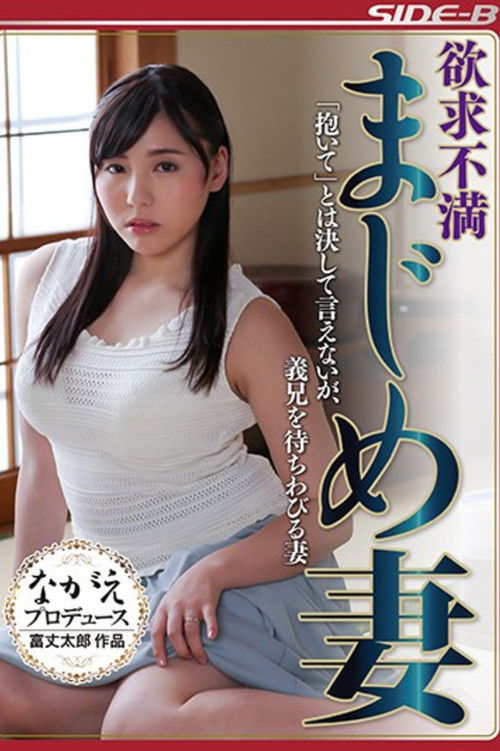 欲求不満まじめ妻 「抱いて」とは決して言えないが、義兄を待ちわびる妻 (2017) poster