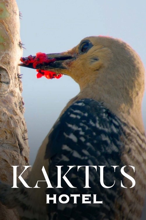 Kaktus Hotel (2023) poster