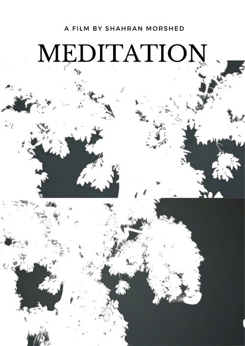 Meditation poster