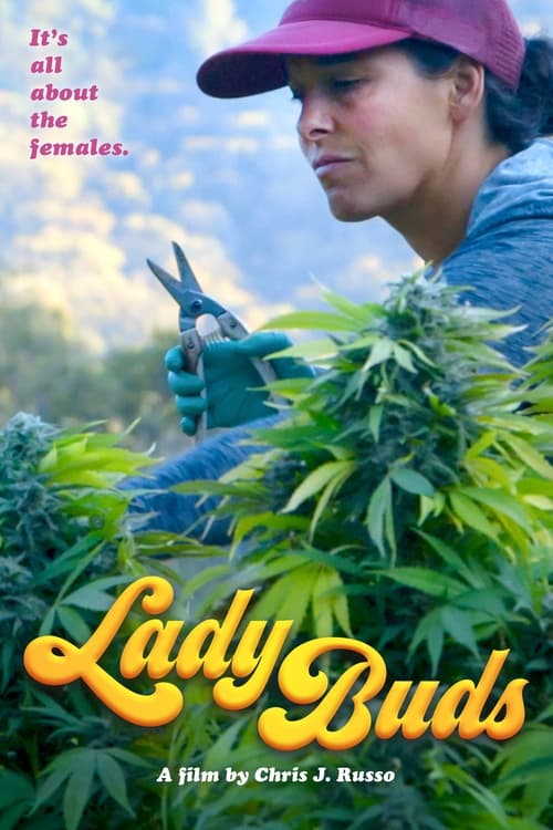 Lady Buds (2021) poster