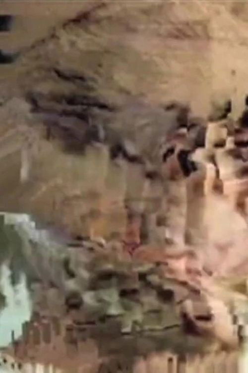 Walk in the Flesh (2013) poster