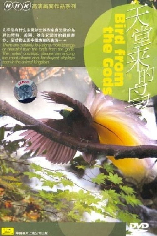 Birds from the Gods (2004) poster