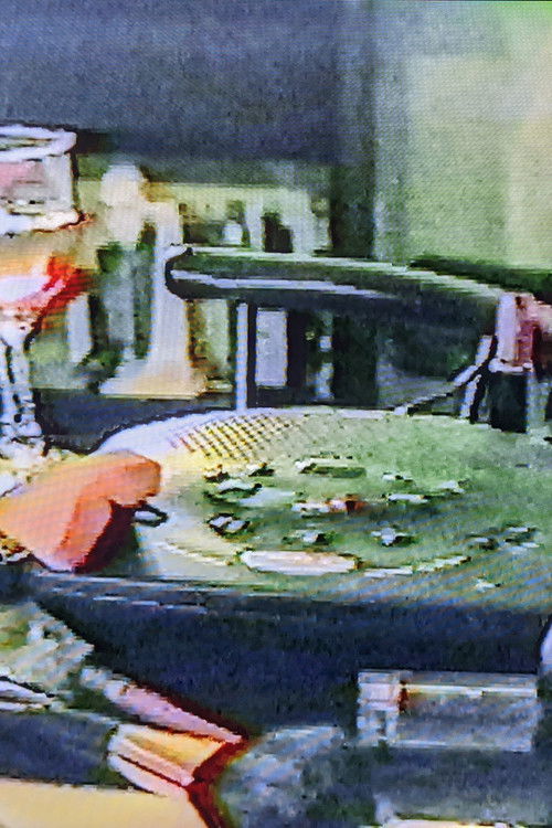 Answering Machine (2001) poster