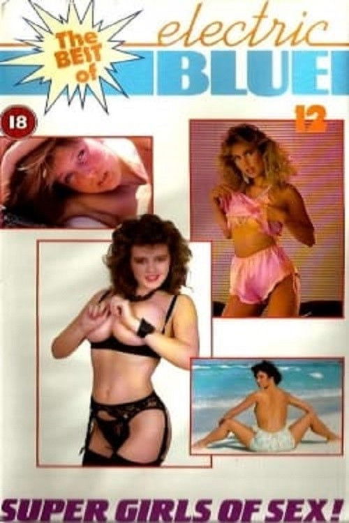Electric Blue: The Best of Electric Blue 12 (1988) poster