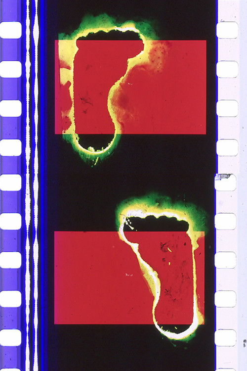 STEREO FRAMEWORK/ASYNCHROMY (2025) poster