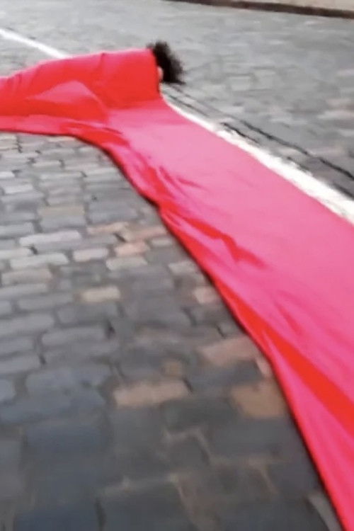 Instytutska Street (2015) poster