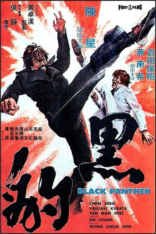 Black Panther (1973) poster