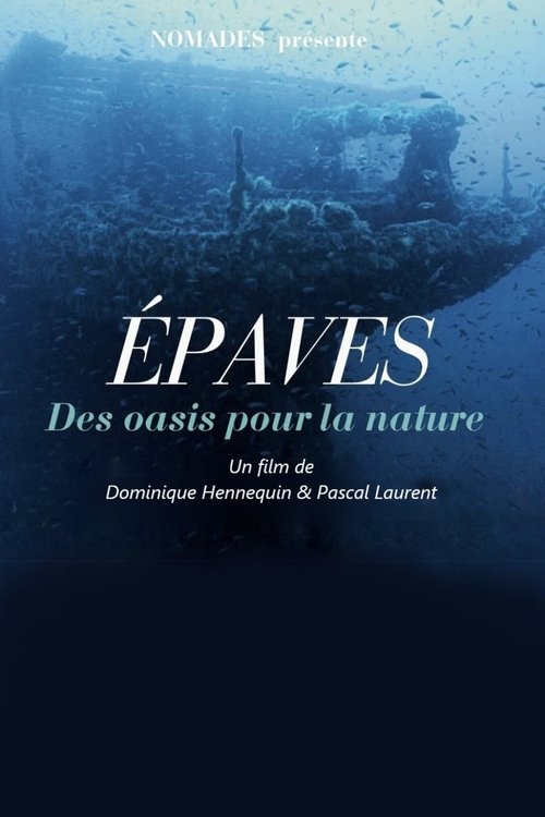 Épaves, des oasis pour la nature (2025) poster