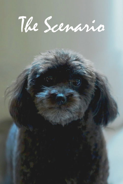 The Scenario (2024) poster