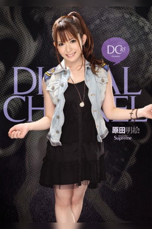 DIGITAL CHANNEL DC85 Akie Harada (2011) poster