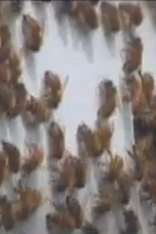 Every Third Bite (2008) poster