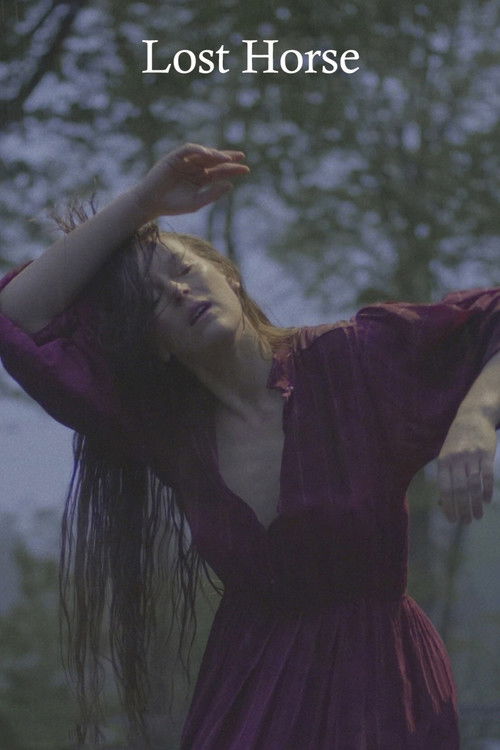 Lost Horse (2020) poster