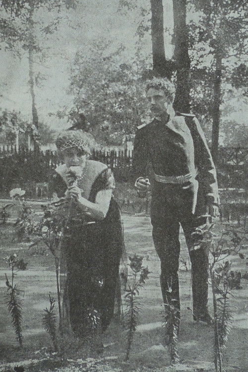 In The Nets of German Espionage (1915) poster