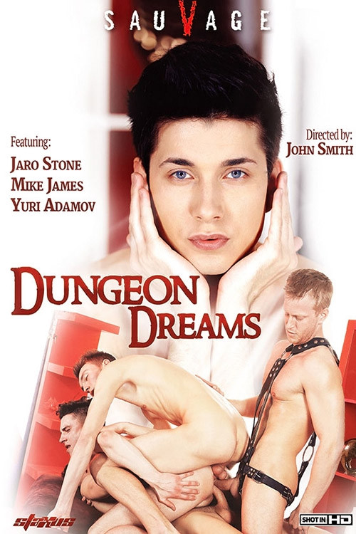 Dungeon Dreams (2014) poster