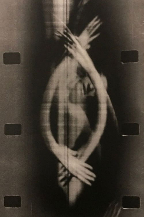 Filmfinish (1986) poster