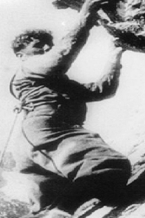 Skiers of Bloke (1932) poster