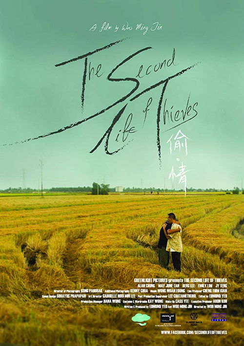The Second Life of Thieves (2014) poster