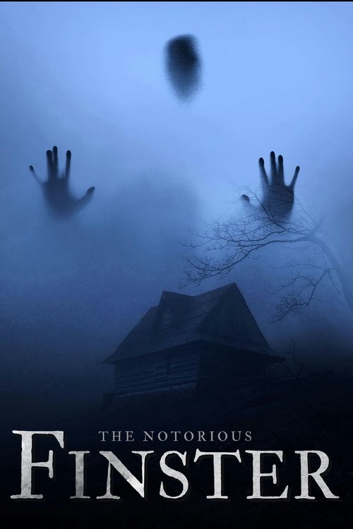 The Notorious Finster (2024) poster