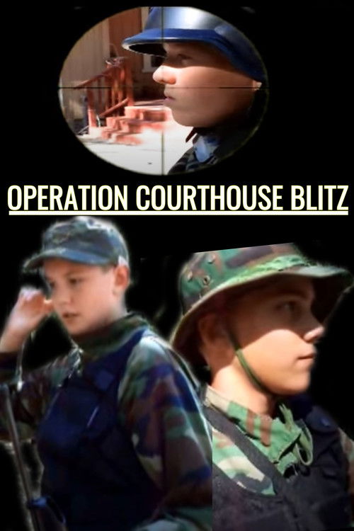 Operation Courthouse Blitz (2015) poster