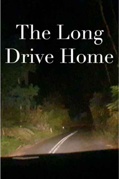 The Long Drive Home (2024) poster