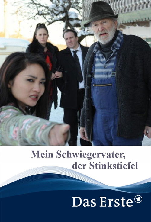 Mein Schwiegervater, der Stinkstiefel (2015) poster