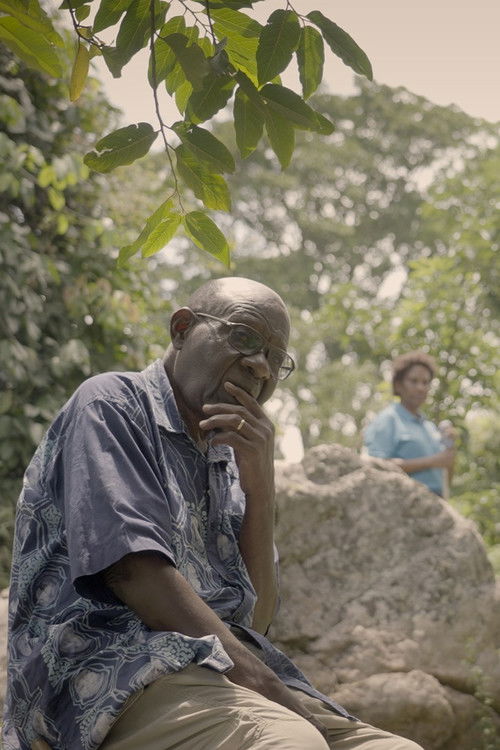 Drømmen om Serenada (2026) poster